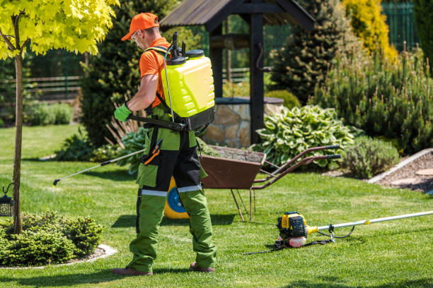 Best Bee and Wasp Removal  in Listoga, CA